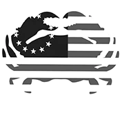 Virginia Lacrosse Club (VLC)